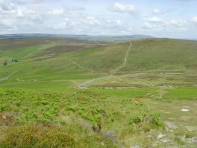 View 1