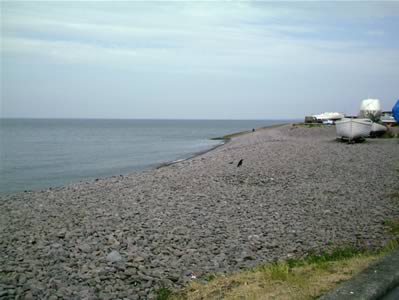 View 1