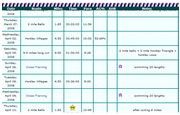 Record your runs in a Training Log Book