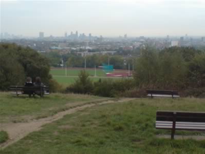 View 1
