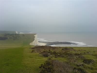 View 1
