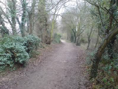 View 1
