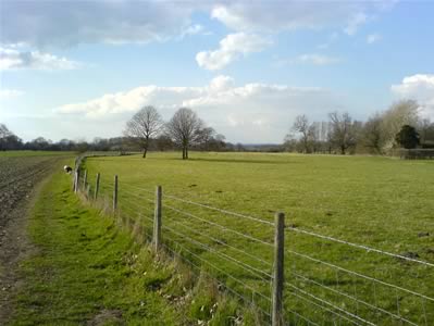View 1