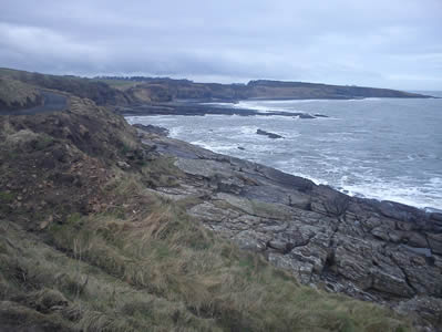 View 1