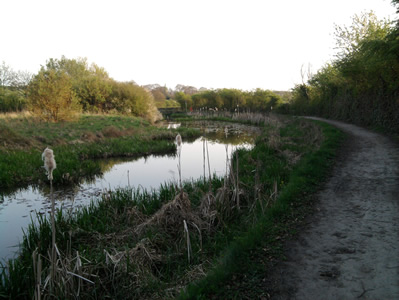 View 1