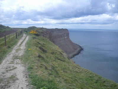 View 1