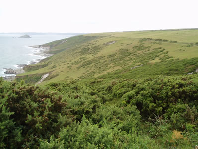 View 1