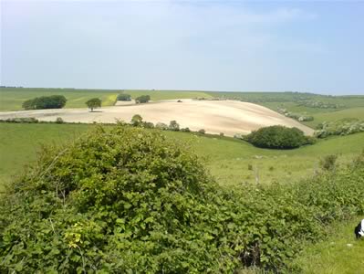 View 1