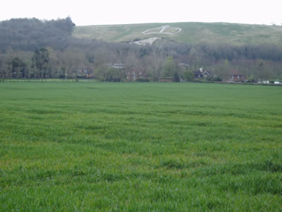 View 1