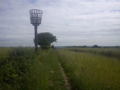 View 1