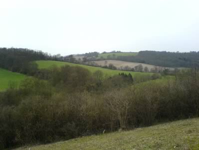 View 1
