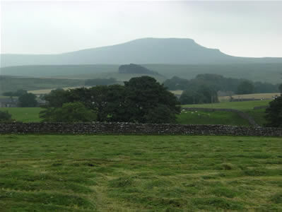 View 1