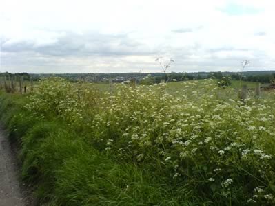 View 1