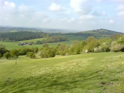 View 1