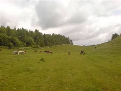 View 1