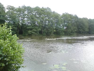 View 1