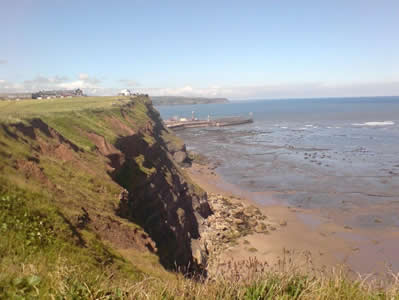 View 1